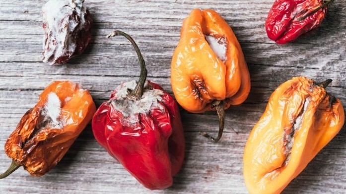 Bea 0103 vainillina 1 .jpg